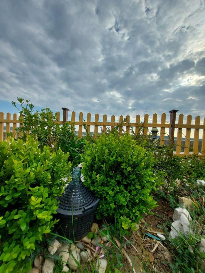 Apartmani Seaview Ljubač Exteriör bild